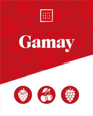 Gamay Red Swiss Wine