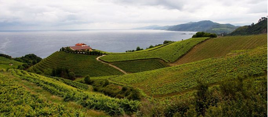 Albarino Rias Baixas