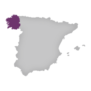 Albarino Rias Baixas